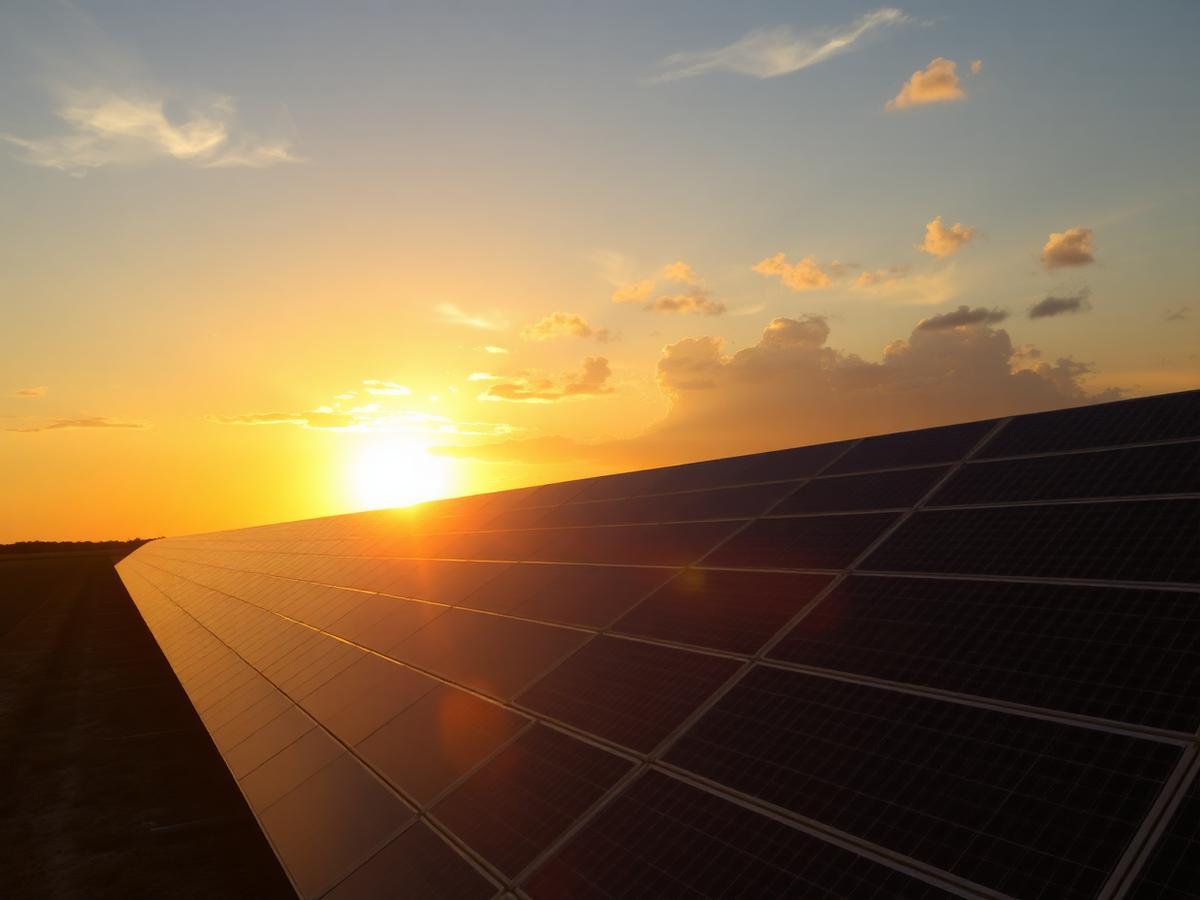 Sustainability